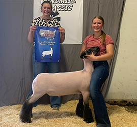 Grand Champion - Top Of Nation Jackpot, MN