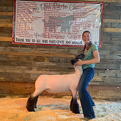 Reserve Market Lamb Lac Qui Parle County Livestock Show