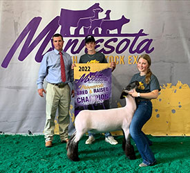 Reserve Hamp Minnesota Youth Livestock Expo