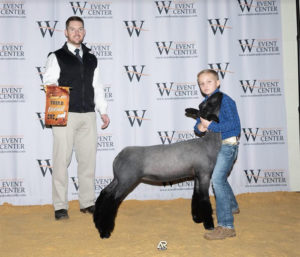 Third Overall Ewe, Great Western Shootout, OK