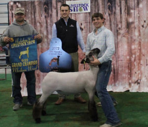 Grand Champion, Huckabay Livestock Show, Texas