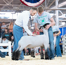 Champion Division 5 Iowa State Fair