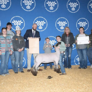 Supreme Ewe Oklahoma Youth Expo