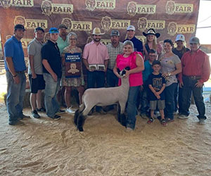 Reserve Champion Market Lamb<br />
Washington County, TX