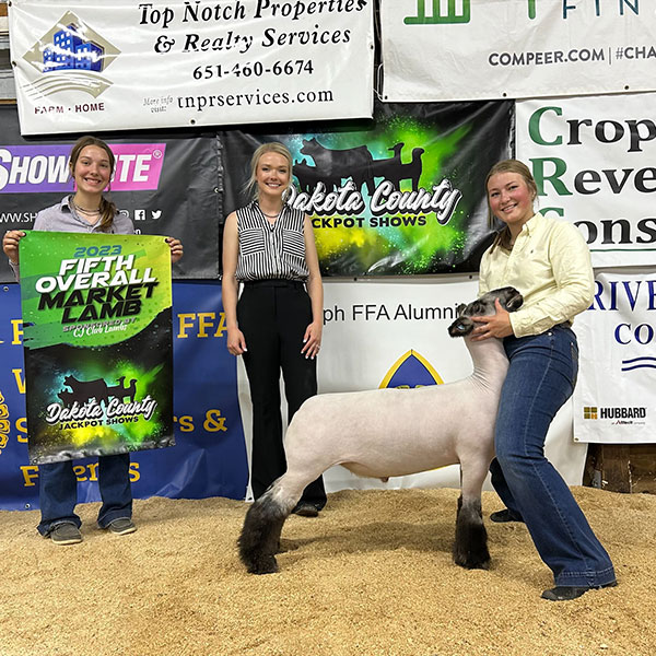 5th Overall Market Lamb<br />
Dakota County Jackpot, MN