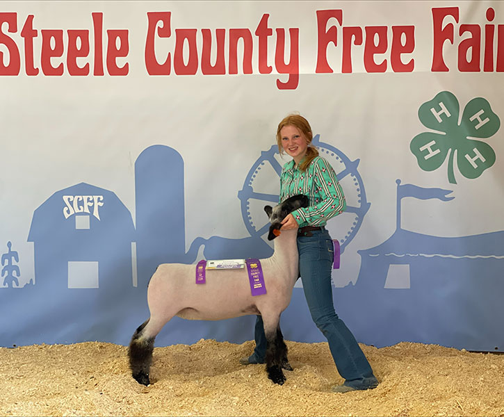 Champion Market Ewe<br />
Steele County, MN