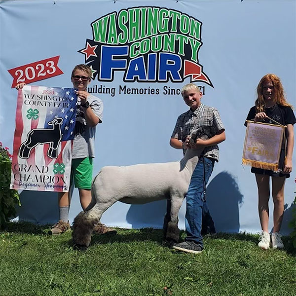 Reserve Champion Market Lamb<br />
Washington County, MN